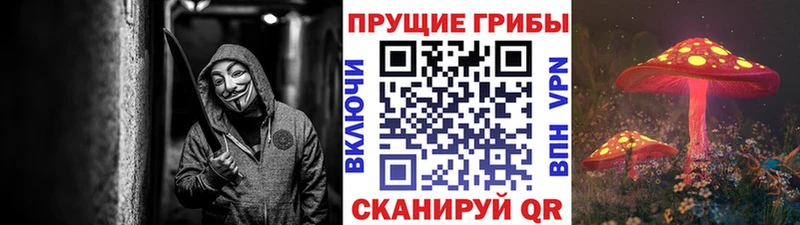 Псилоцибиновые грибы MAGIC MUSHROOMS  Котельнич 